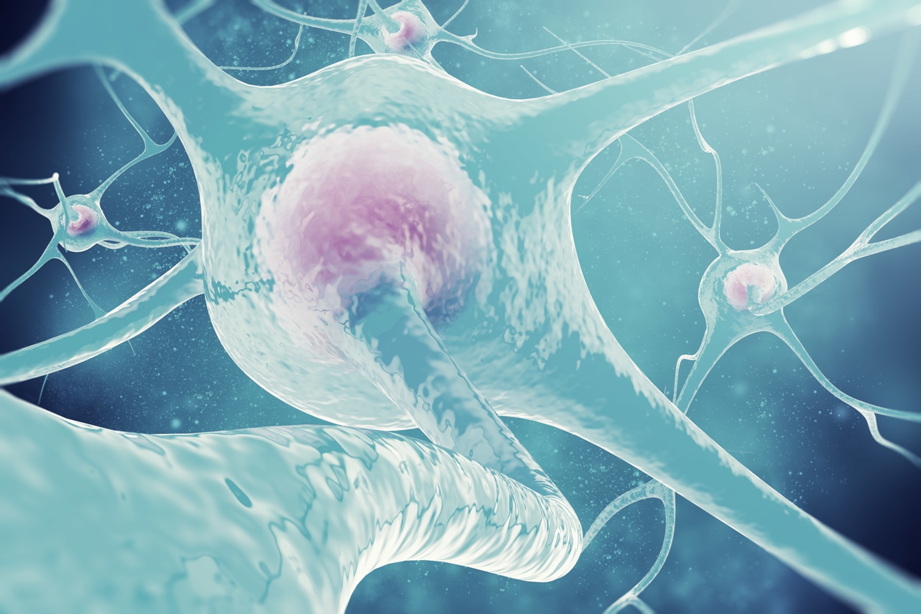Ricerca sul Parkinson e i disordini del Movimento